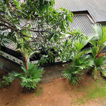 Green Bamboo House Sigiriya Esterno foto