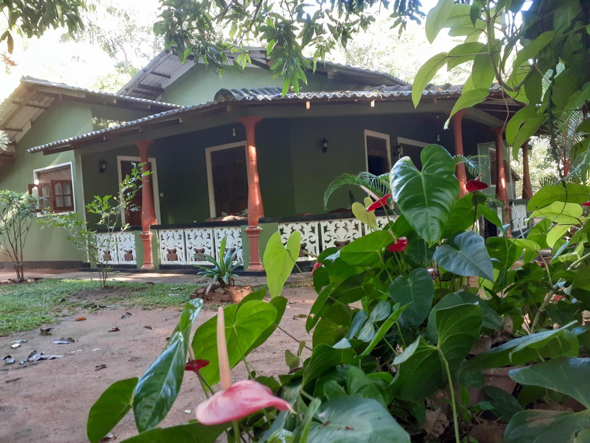 Green Bamboo House Sigiriya Esterno foto