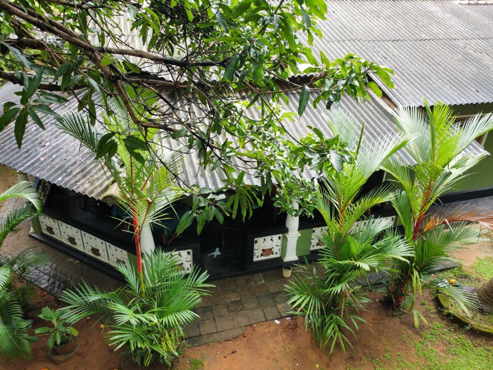 Green Bamboo House Sigiriya Esterno foto