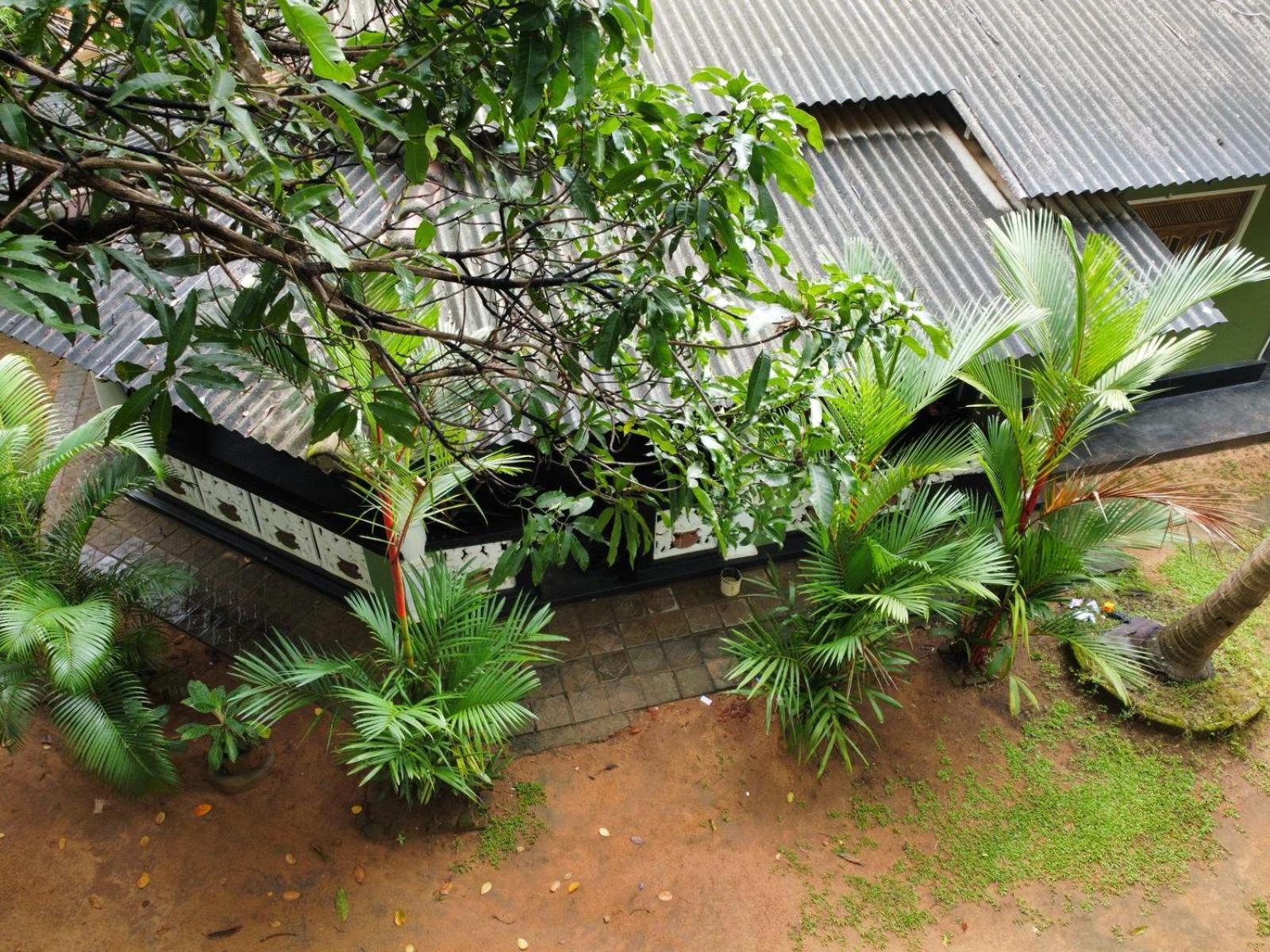 Green Bamboo House Sigiriya Esterno foto