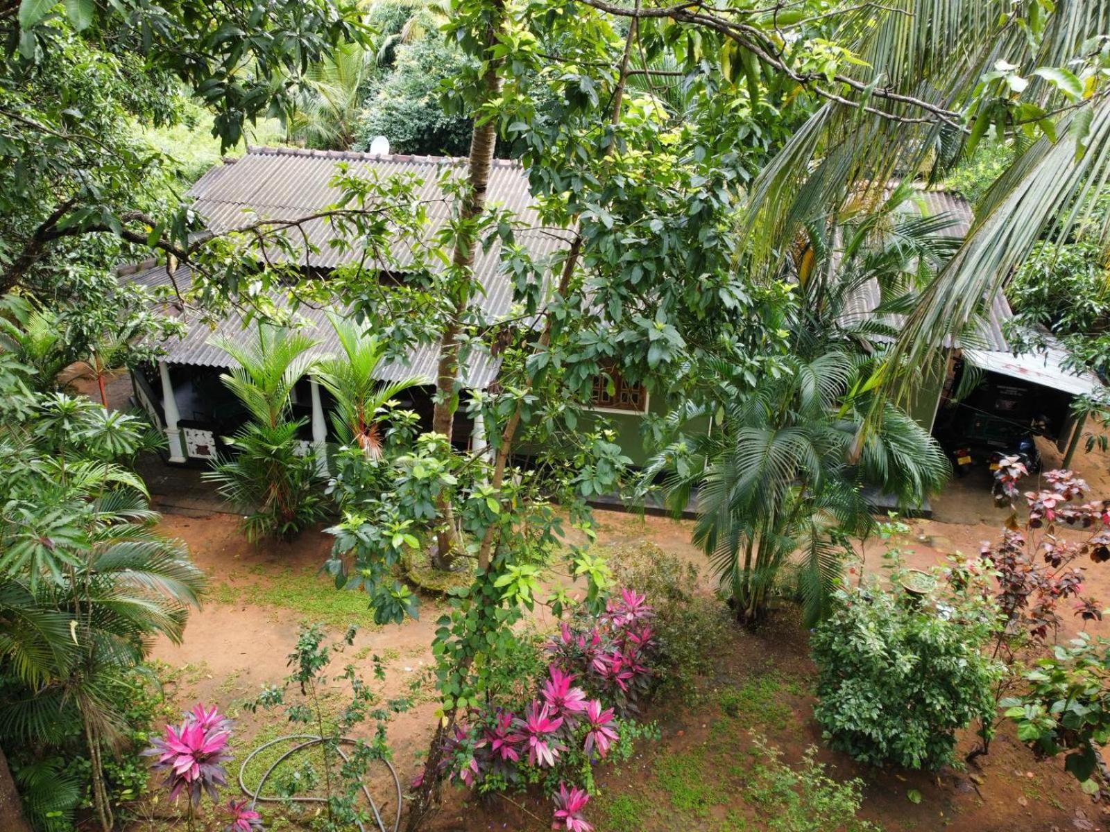 Green Bamboo House Sigiriya Esterno foto
